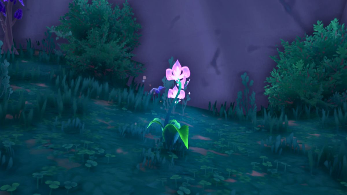 太古の森の蘭の見た目