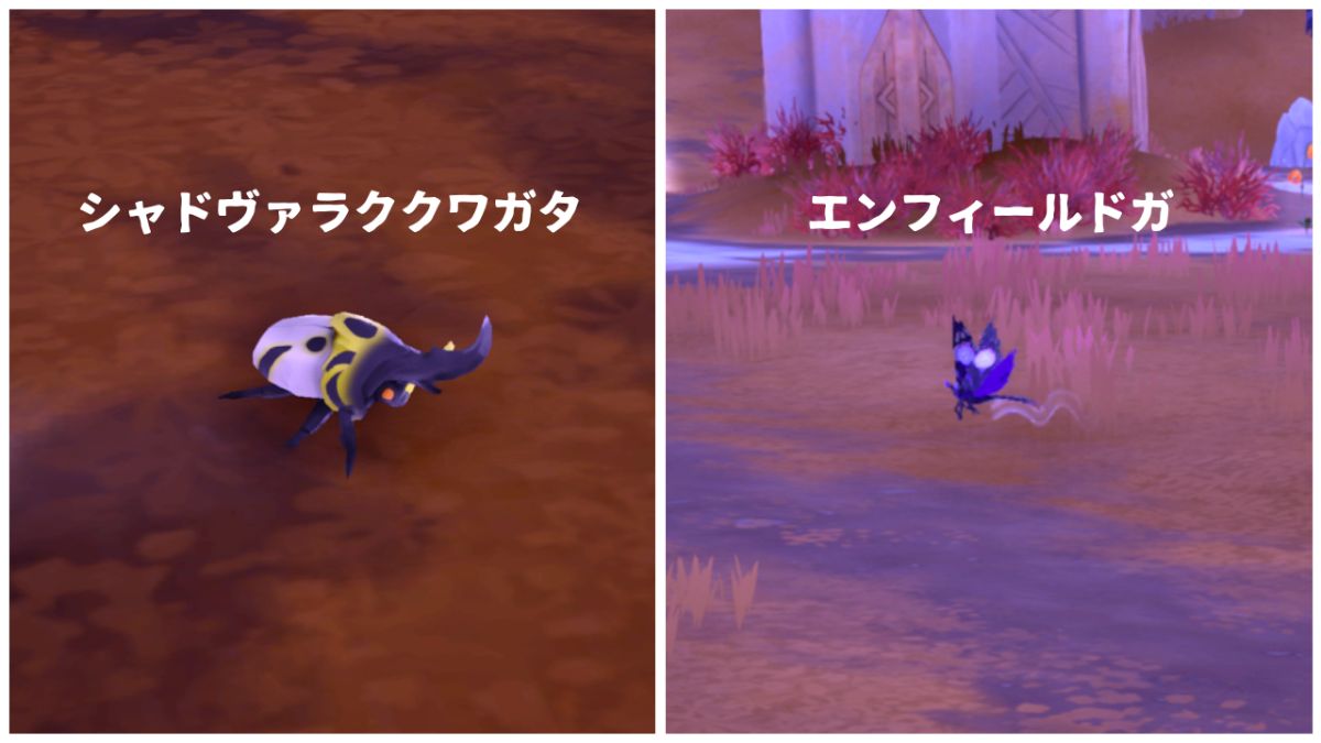 アンバーエコー入手量80の虫